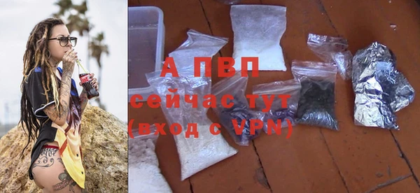 мяу мяу мука Каменногорск