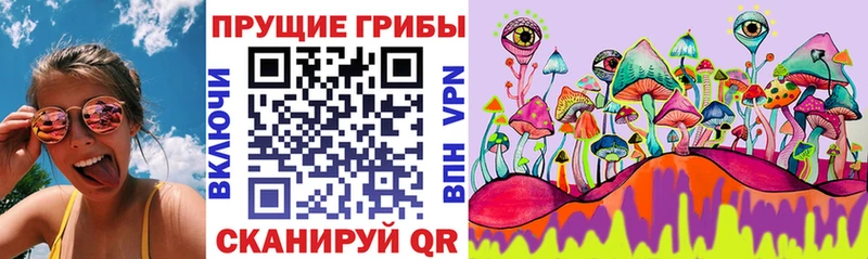 Купить  Белинский  Галлюциногенные грибы Cubensis 